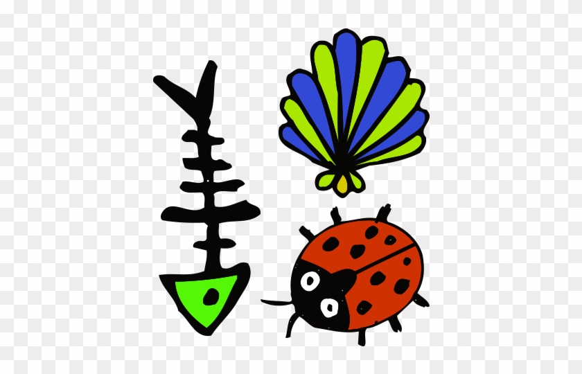 Cartoon Clip Art - Ladybird Beetle #643693