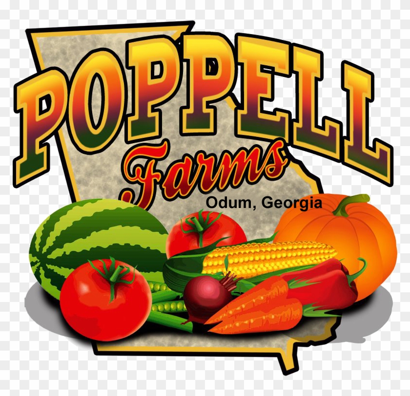Explore The Corn Maze And Pick The Perfect Pumpkin - Poppell Farms #643755