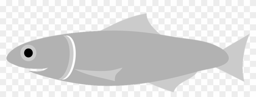 Coastal Fish Cliparts 15, Buy Clip Art - Ikan Teri Vector #644560