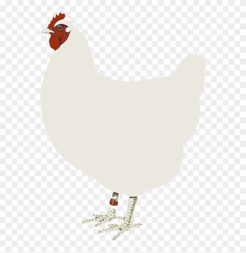 Free To Use &, Public Domain Chicken Clip Art - Hen White Clipart #644695