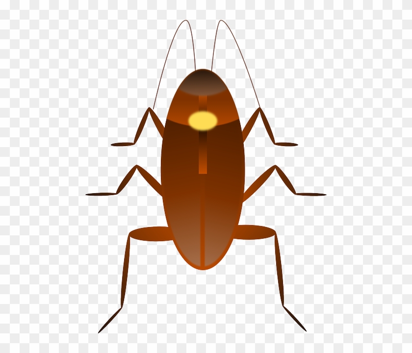 Bug Cockroach, Insect, Ugly, Bug - Imagenes De Cucarachas En Caricatura #644882