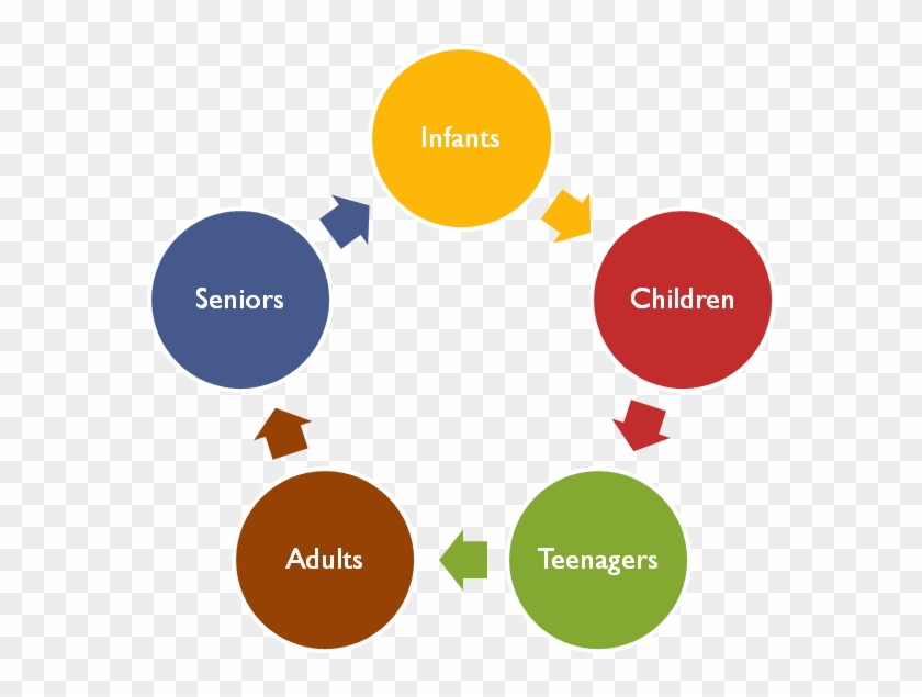 The Science Of Nutrition - Nutrition Through The Life Cycle #645115