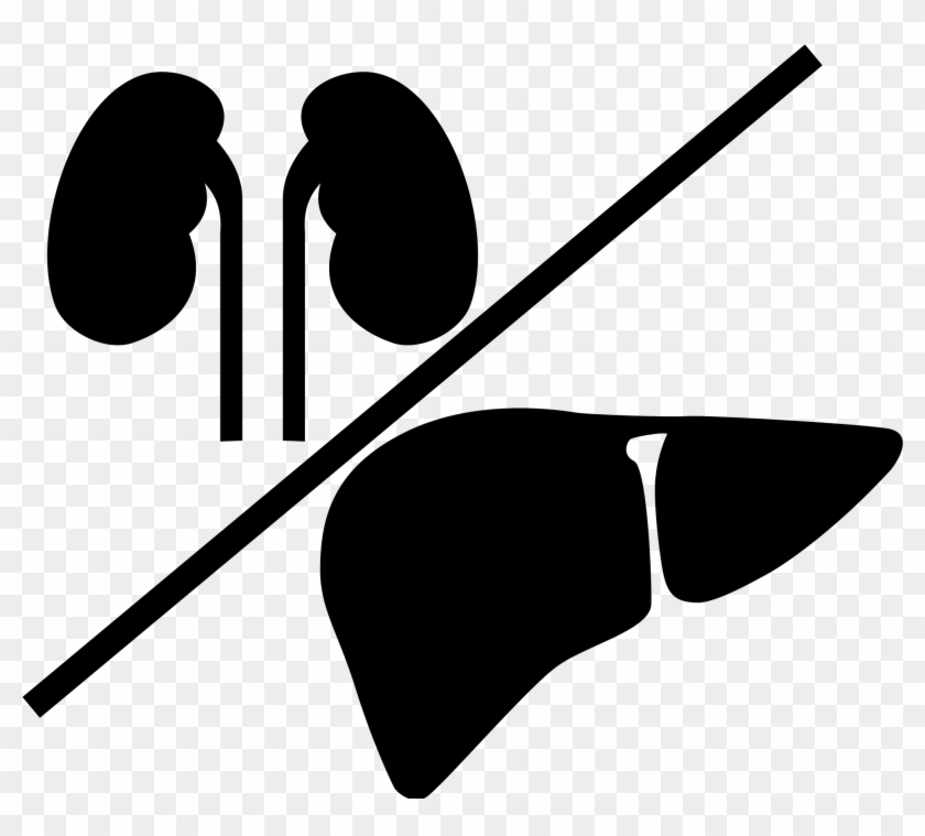 Open - Liver And Kidney Icon #645432