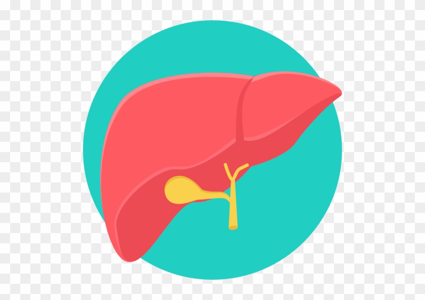 Liver Free Icon - Icono De Higado #645550