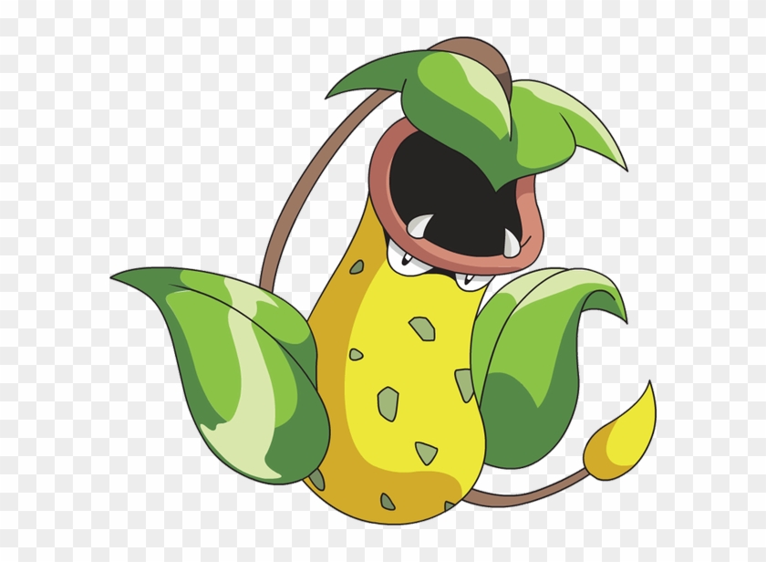 I've Always Wanted A Venus Flytrap Though Idk If They - Victreebel Pokemon #645579