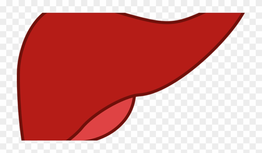 Liver - Liver #645581