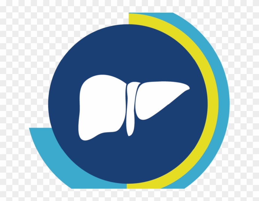 Fatty Liver Disease And Co-toxic Liver Injury - Portrait Of A Man #645590