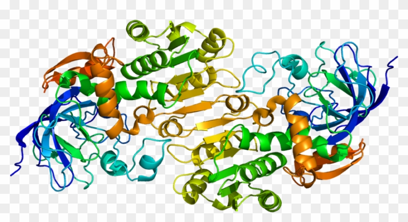 Alcohol Dehydrogenase #645713