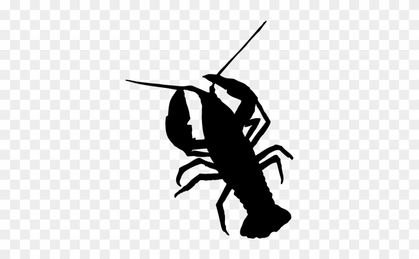 Crayfish Silhouette 05 - Crayfish Silhouette #646225