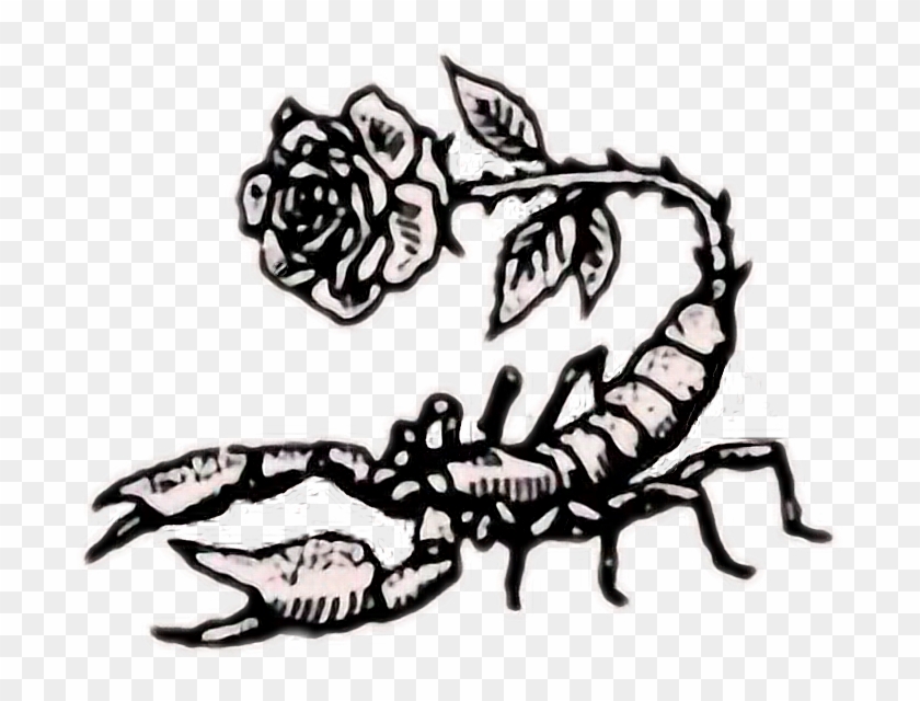 Tumblr Rose Rock Scorpion Aesthetic Retro Flower Art - Scorpion Rose Drawing #646252