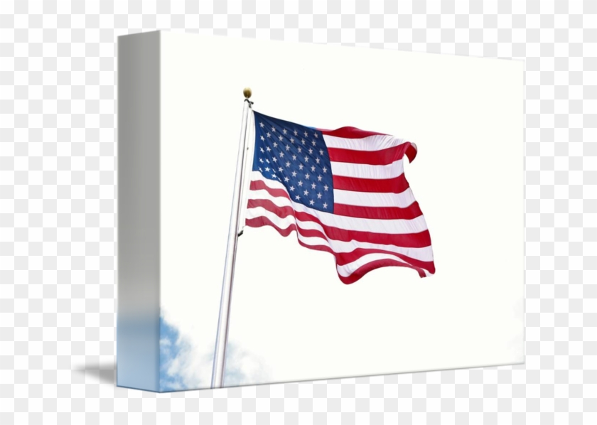 Flag Of The United States #646729