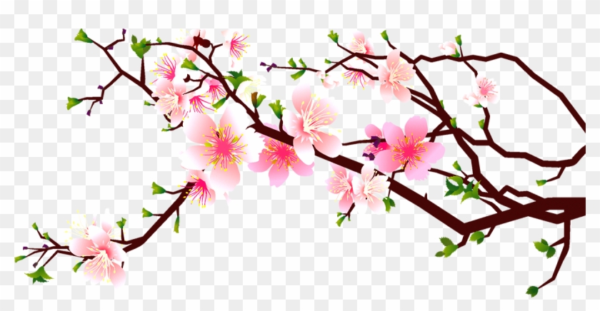 Cherry Blossom Peach Clip Art - Cherry Blossom Transparent Png #646785