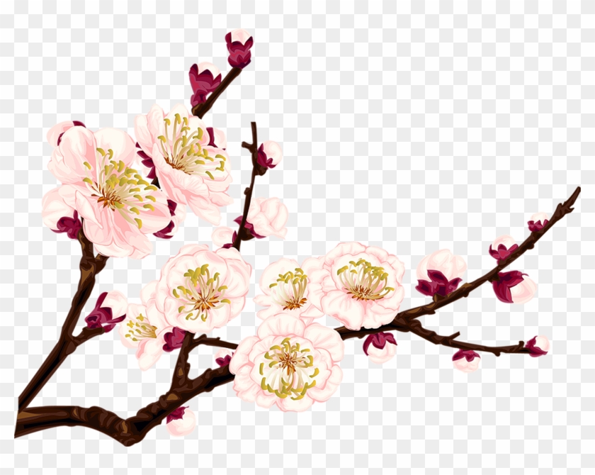 Plum Blossom Drawing Clip Art - Plum Blossom Drawing Clip Art #646816