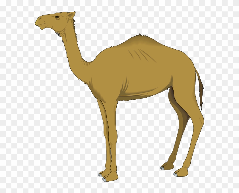 You Can Use These Free Camel Cliparts For Your Documents, - Camel Clip Art #646886