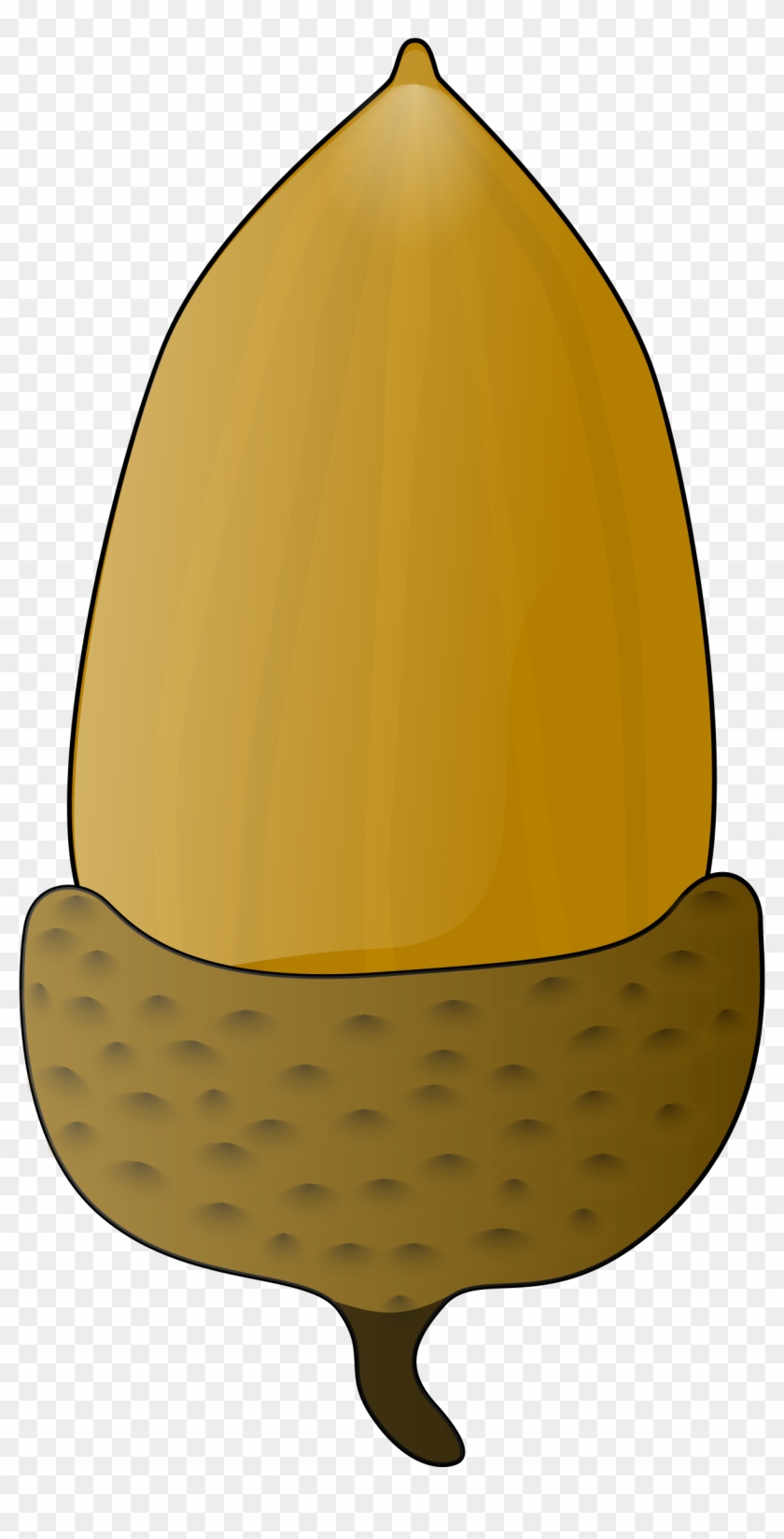 Acorn Clipart Big - Acorn Clip Art #647032