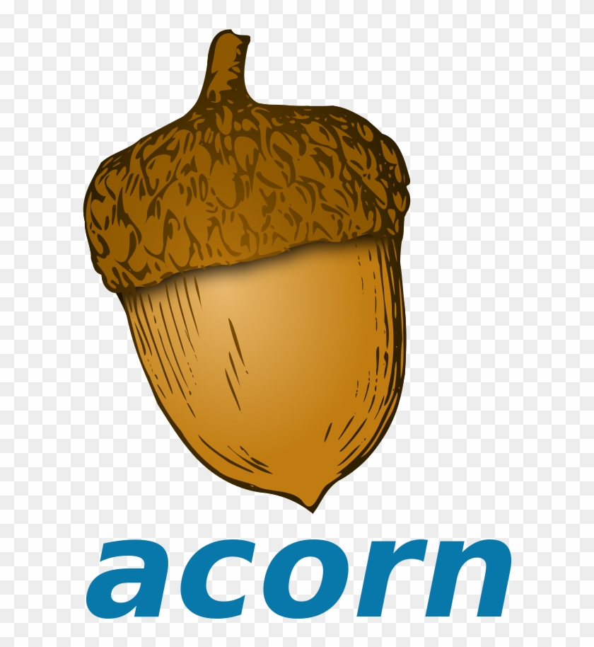 Acorn Clip Art 12, - Clip Art #647069