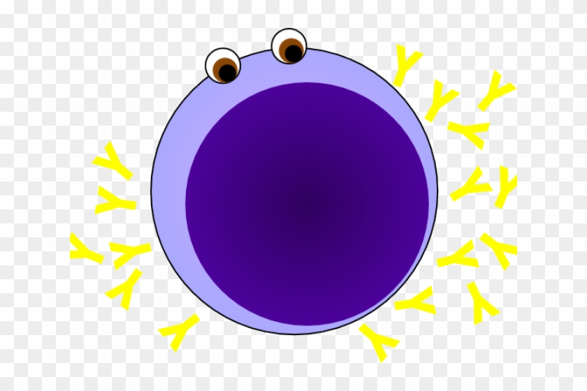 Plasma Clipart Lymphocyte - Lymphocyte Svg #647179