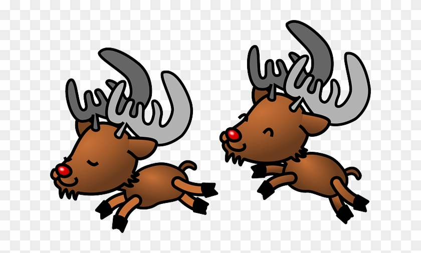 Jumping Caribou, Reindeer, Deer, Animals, Wild, Happy, - Rudolph The Red Nosed Reindeer #648014