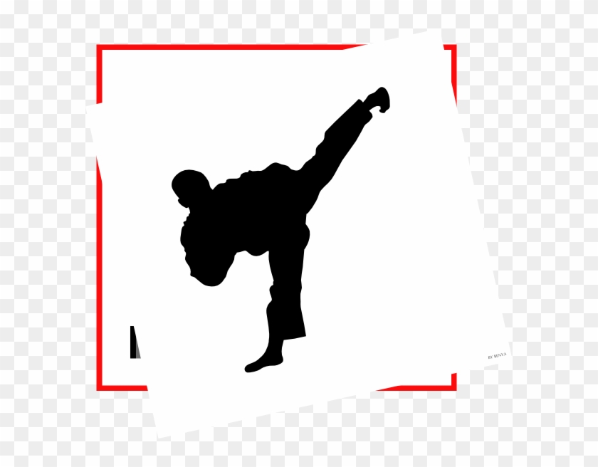 Moo Duk Kwan Taekwondo #648425
