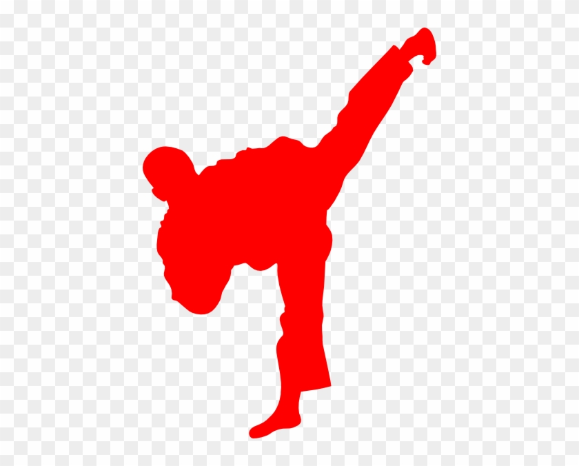 Moo Duk Kwan Taekwondo #648428