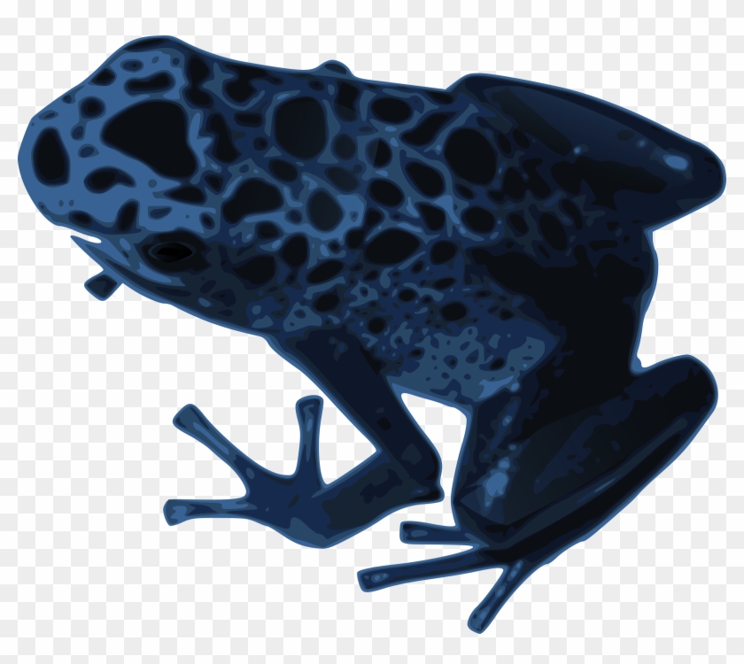 Amphibian Clip Art Download - Blue Poison Dart Frog #648478