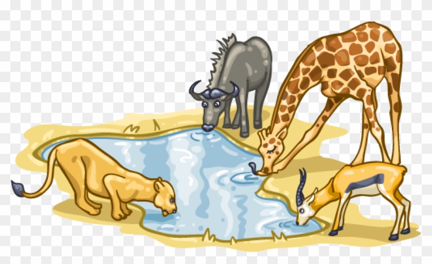 When Nature Calls - Animals At Watering Hole Clipart #648759