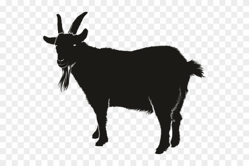Goat Black Animal Silhouette Shadow Goat G - Goat Silhouette #649000
