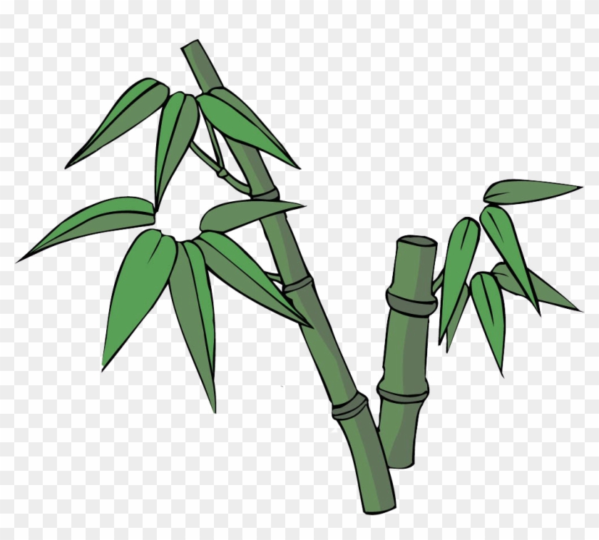 Bamboo Cartoon Illustration - 竹子 卡通 #649305