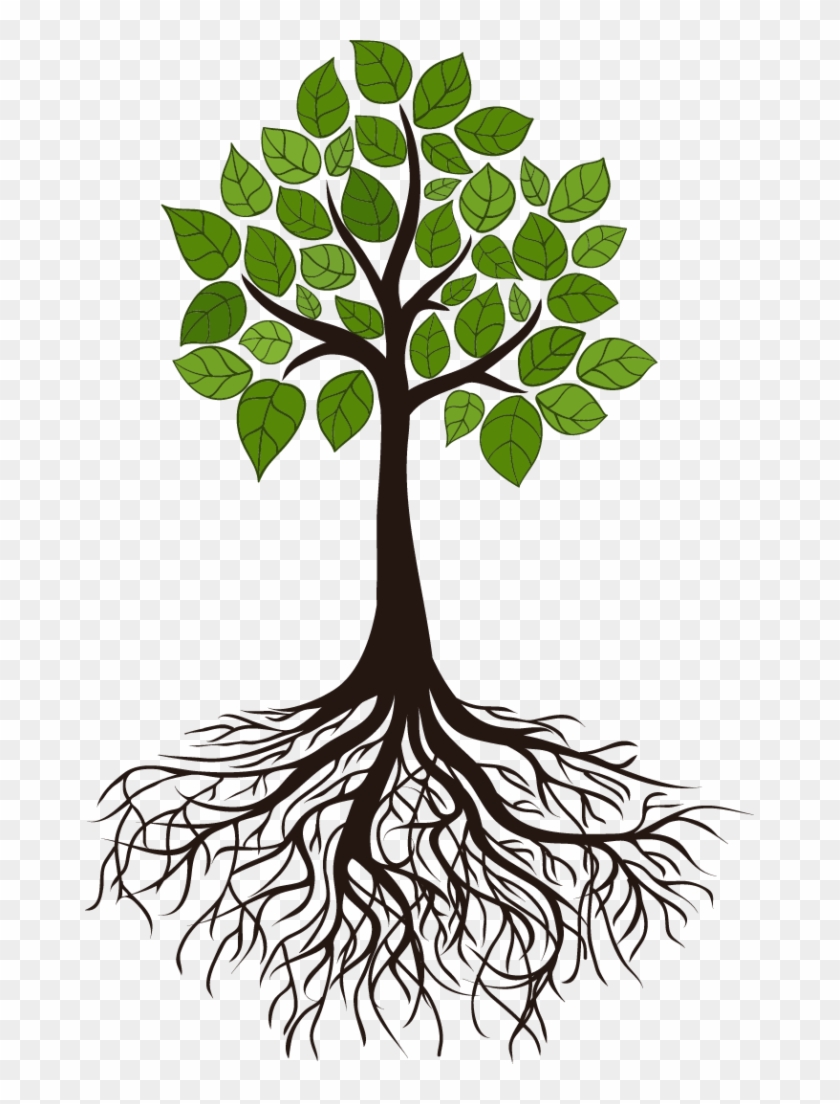 Tree Root Branch Clip Art - Transparent Tree Of Life Roots #649399