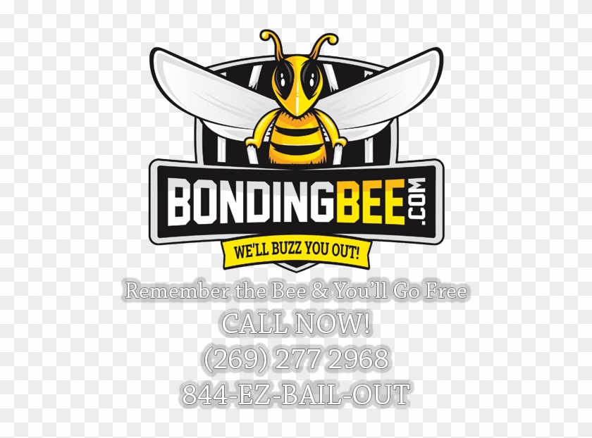 Remember The Bee And You'll Go Free - Bail Bondsman #650117