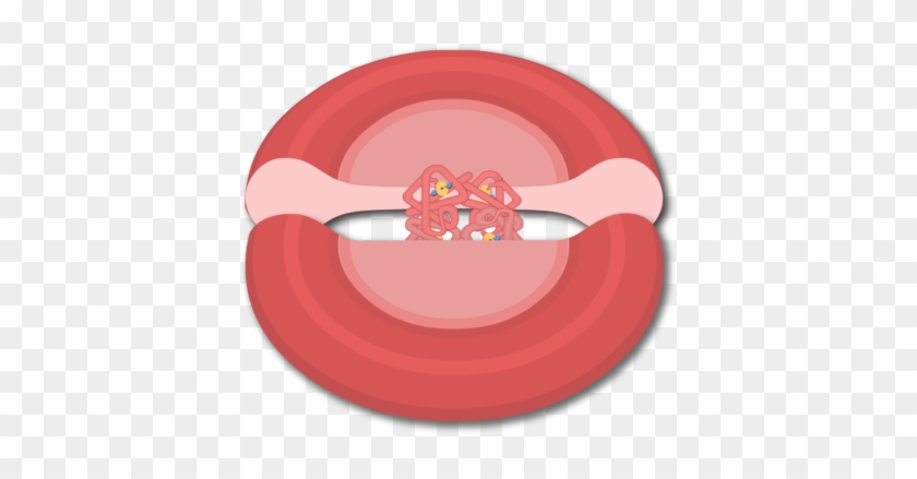 Hemoglobin Molecules In A Red Blood Cell - Circle #650535