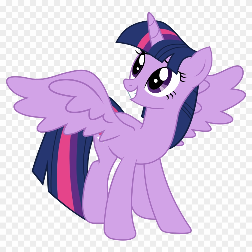 Twilight Sparkle Alicorn Vector By Mlp-mayhem - My Little Pony Princess Twilight Sparkle #650609