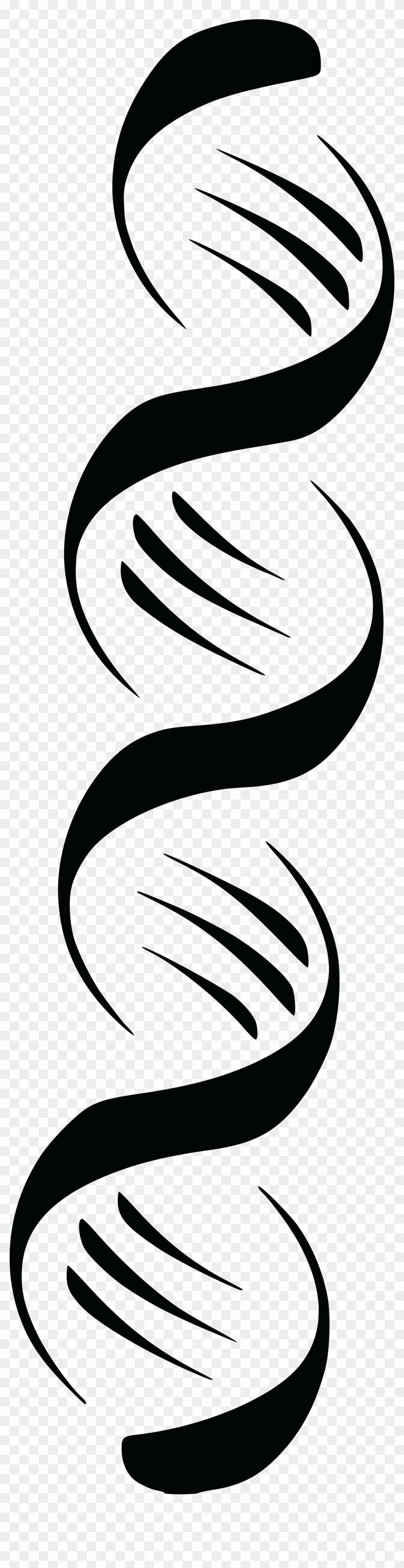 - Eps, - Svg, - Free Clipart Of A Black And White Dna - - Eps, - Svg, - Free Clipart Of A Black And White Dna #650762