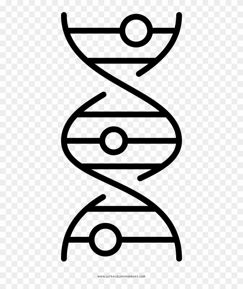 Dna Strand Coloring Page - Dna Coloring Adn Para Colorear #650770