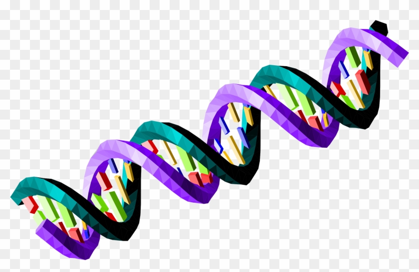 Big Image - Ds Dna Strand Transparent #650776