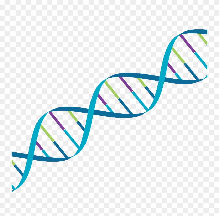 Strand Of Dna In Mps Society Colours - Society Colours #650780