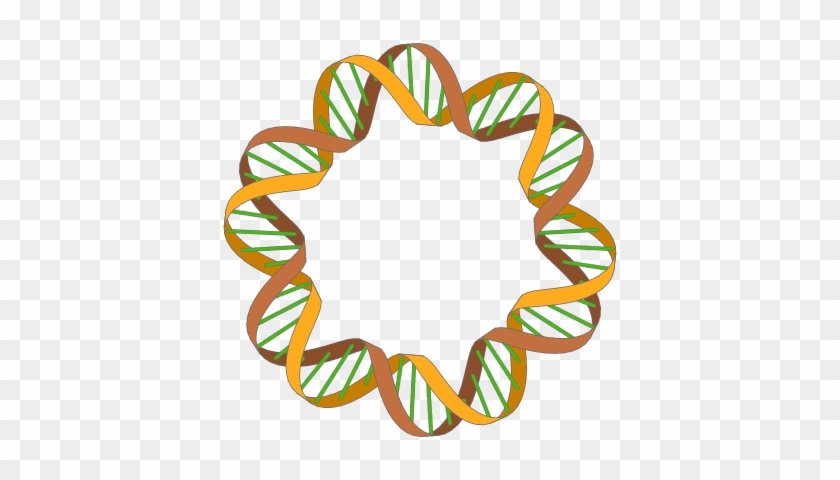 Enter Image Description Here - Dna Damage #650782