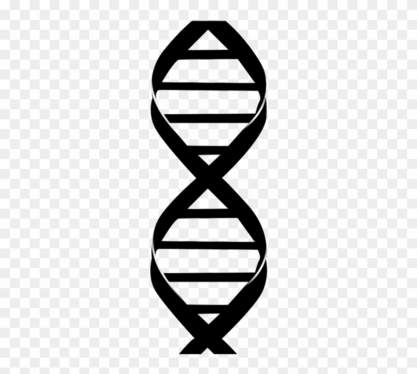Dna Drawing #650785
