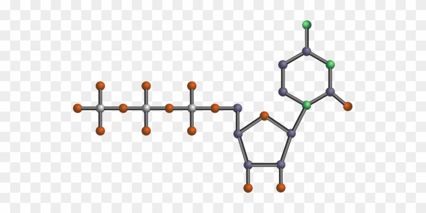 Nucleotide Dna Pyrimidine Rna Biology Chem - Drawing Of Atp #650788