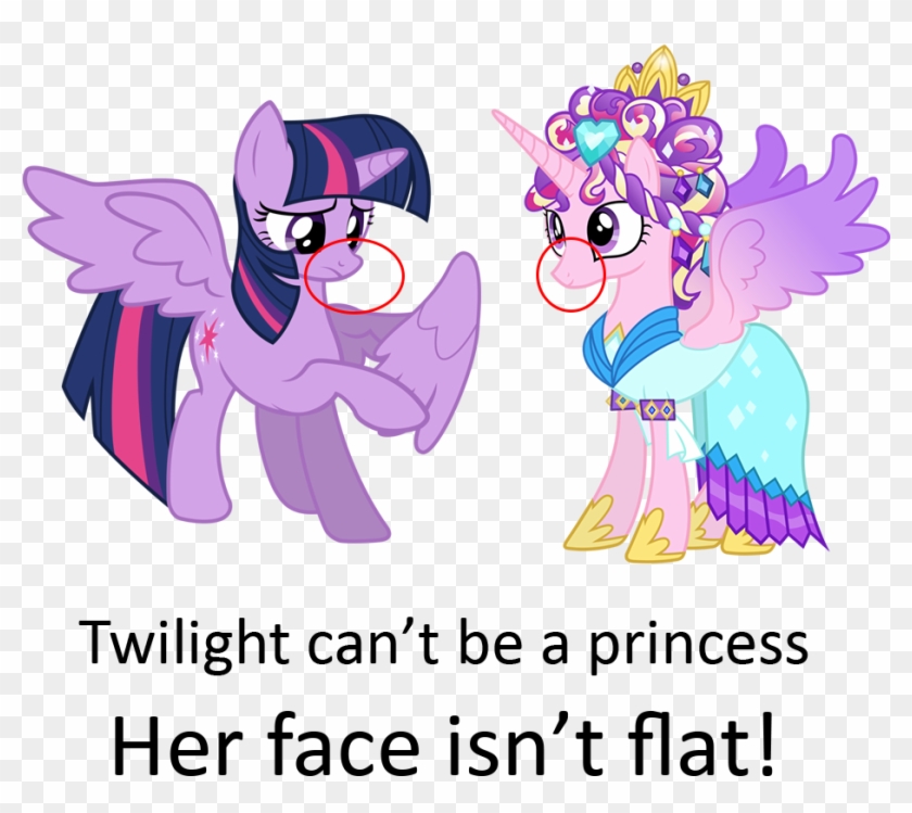 Alicorn, Female, Magical Mystery Cure, Mare, Pony, - Will Twilight Sparkle Outlive Her Friends #650806