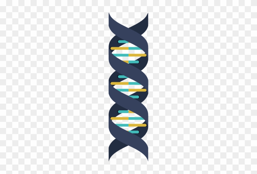 Dna Structure - Dna #650824