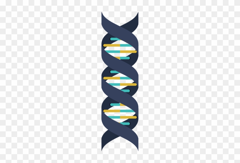 Dna Structure - Dna #650824