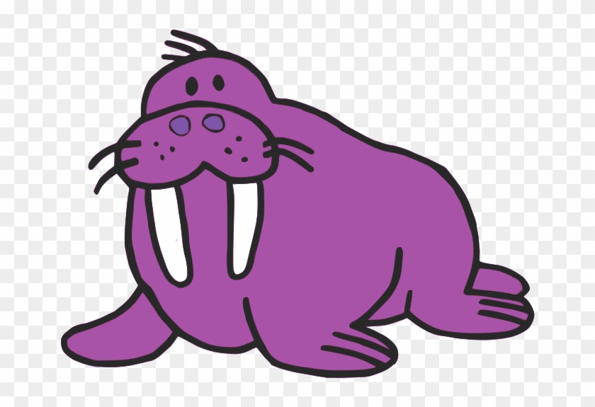 Walrus Sea Lion Drawing Clip Art - Purple Walrus Clipart #651158