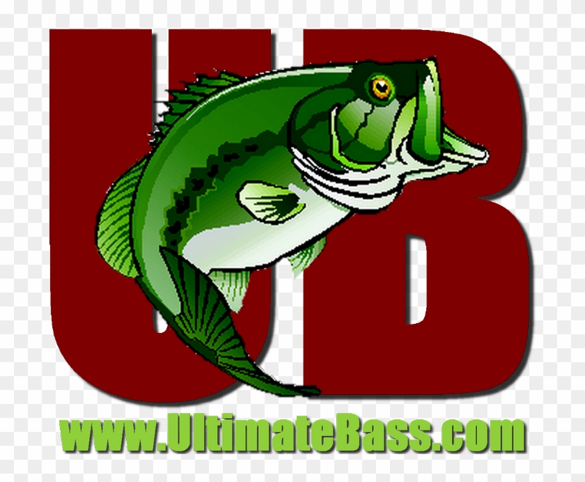 Bass Fishing #652058