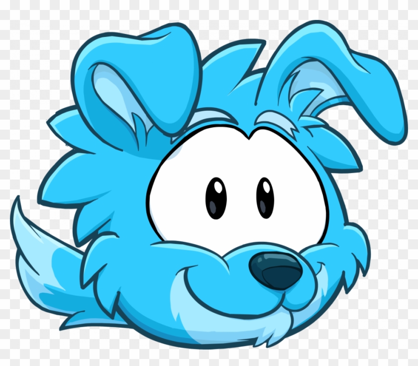 Blue Border Collie Club Penguin Wiki The Free Editable - Club Penguin Dog Puffle #652572