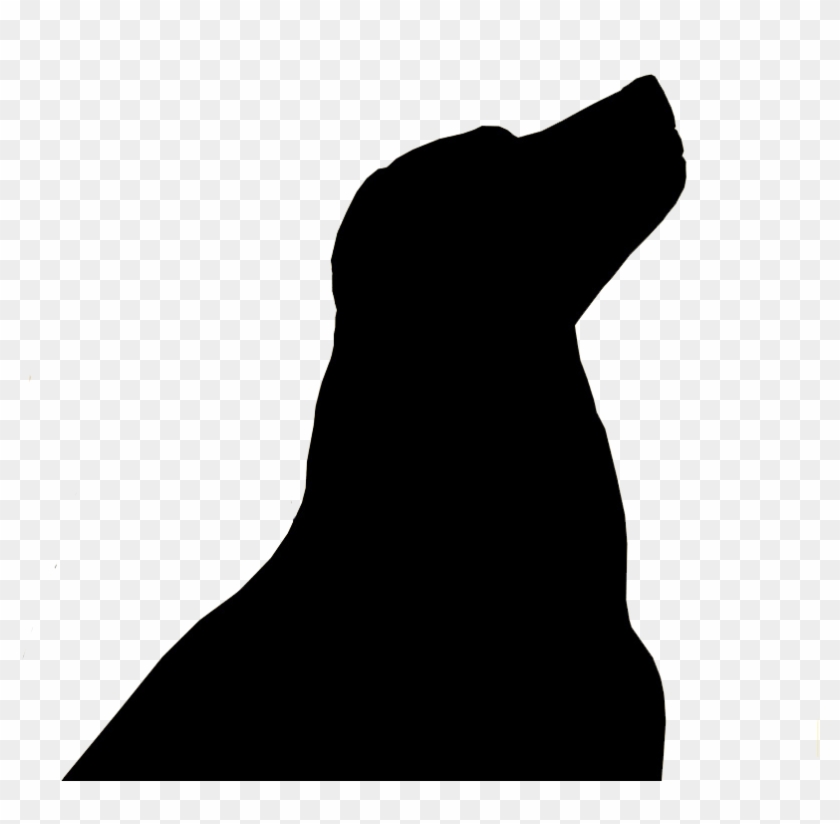 Welcome To Bear Creek Labs - Silhouette Of A Black Lab #652696