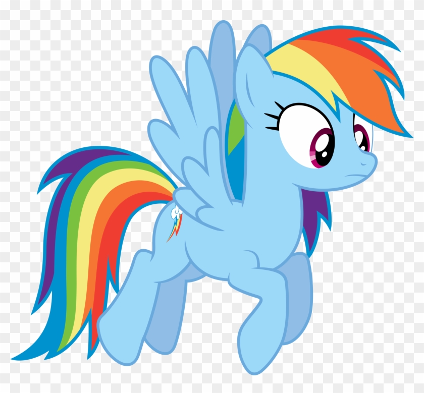 Rainbow Dash - Rainbow Dash And Tank #652911