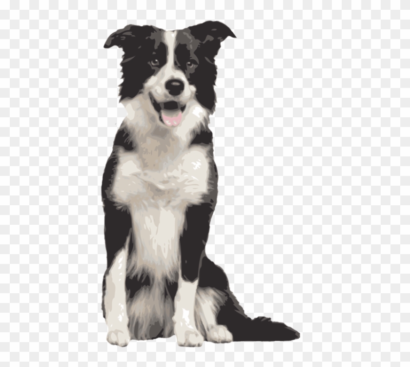 Quality Clip Art Of Animals That Live On A Farm - Border Collie Sitting #653075