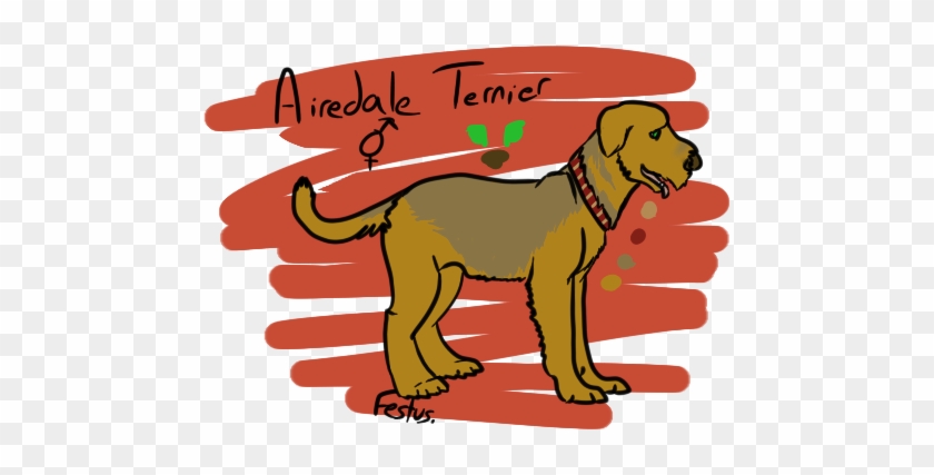 Airedale Terrier-belongs - Dog Catches Something #653096