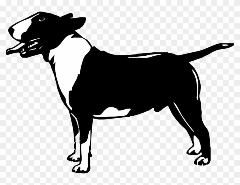 Bull Terrier - Bull Terrier #653125